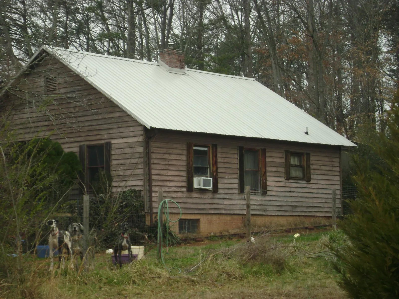 White metal roof on an old wood sided farmhouse, from a Metal Roof Installation job in Ruthville